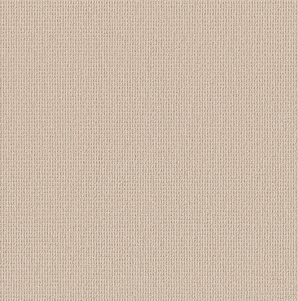 A close-up view of Purrfection Beber Carpet in White Sand, showing its plush, uniform knitted texture with small, evenly spaced stitches reminiscent of luxury carpet.