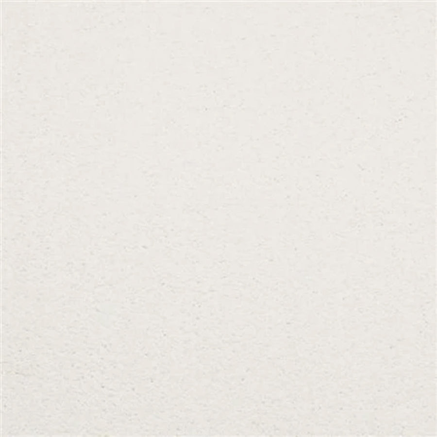 Oceanside Family Friendly Carpet in White Sands features a plain, off-white textured surface with a subtle grain and no visible patterns—durable and plush, perfect for creating a welcoming family atmosphere.