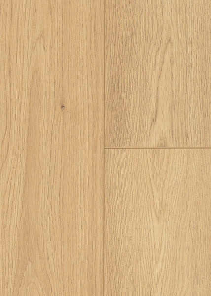Close-up of Wild Grove 7.6