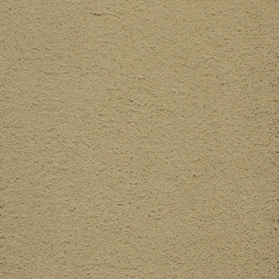 Close-up of Dolce Family Friendly Carpet in Wild Rice, featuring a textured, durable surface—perfect for high-traffic areas and ideal for busy family homes.
