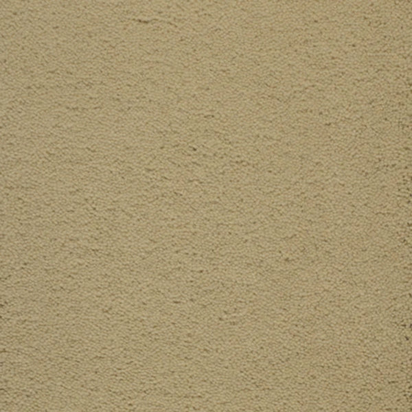 Close-up of Dolce Family Friendly Carpet in Wild Rice, featuring a textured, durable surface—perfect for high-traffic areas and ideal for busy family homes.