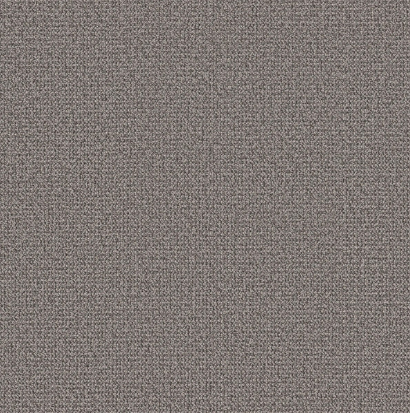 Close-up of Purrfection Beber Carpet in Willow, featuring a tightly woven, looped texture. The soft, dense surface covers the image with a uniform, neutral grayish-brown tone and plush luxury feel.