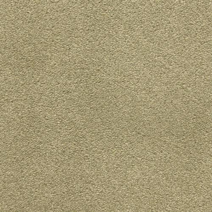 Close-up of the Grand Isle Family Friendly Carpet in Willow, showing its beige, soft, and even texture with a slightly speckled look. The clean surface appears uniform with no noticeable patterns or markings.