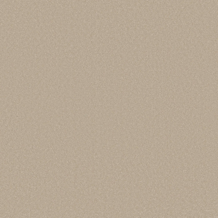 A close-up of Awaken Spirit Pet Friendly Carpet in Windfresh color shows its smooth, sandy beige surface with fine texture, highlighting its durability and the understated elegance of contemporary design.