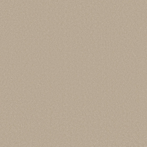 A close-up of Awaken Spirit Pet Friendly Carpet in Windfresh color shows its smooth, sandy beige surface with fine texture, highlighting its durability and the understated elegance of contemporary design.
