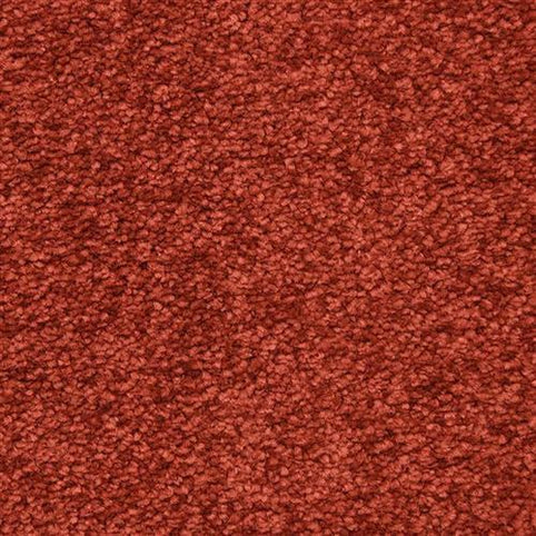 Close-up of the Morgan Bay Family Friendly Carpet in Wine Berry, featuring a dense, uniform looped pile ideal for high-traffic, family spaces.