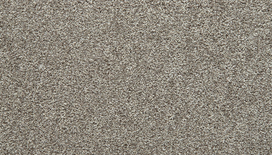 Close-up view of Winter Cozy Companion Pet Friendly Carpet featuring a soft, textured surface. The plush fibers appear dense and evenly distributed, creating a comfortable and inviting appearance.