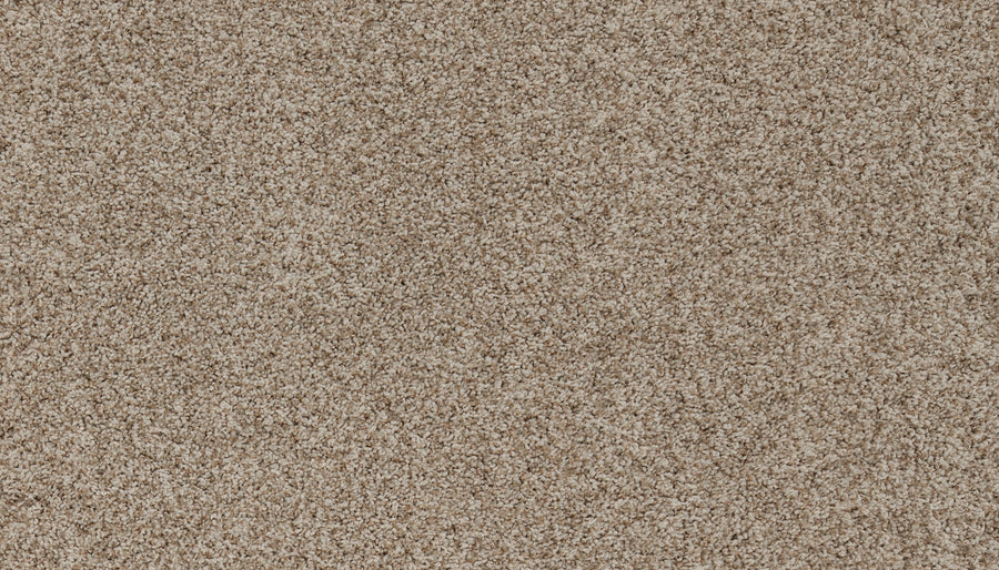 Close-up of Aurelia Pet Friendly Carpet, showcasing its light brown, textured surface and dense, evenly distributed fibers—ideal as premium flooring for any space.
