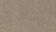 Winter Beige