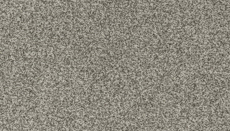 The Aurelia Pet Friendly Carpet features a dense black and white pattern reminiscent of static noise on a no-signal TV screen, creating an intricate look similar to luxurious, premium flooring.