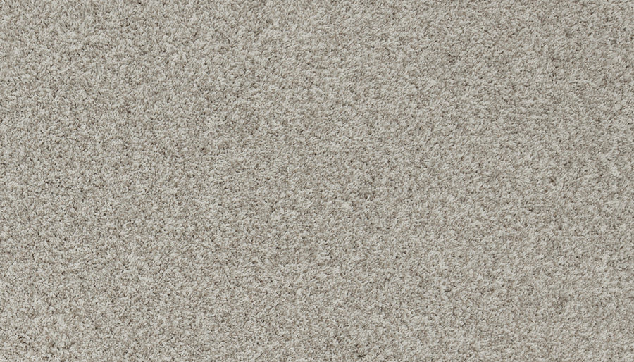 Close-up view of Aurelia Pet Friendly Carpet in light gray, featuring a soft, plush surface and densely packed fibers for a uniform, cozy look—perfect as premium, pet-friendly flooring for any home.