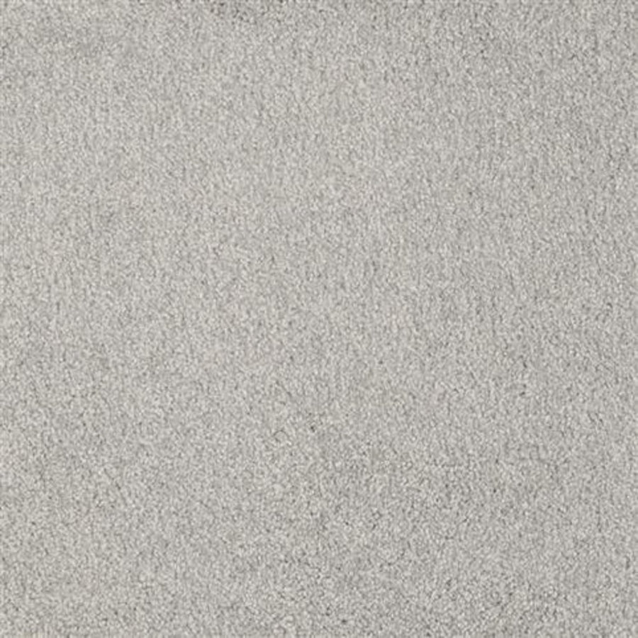 Close-up of Oceanside Family Friendly Carpet in Winter Solstice color, featuring a soft, slightly fuzzy and durable surface. Its light gray texture and short, even fibers create an inviting look perfect for families.