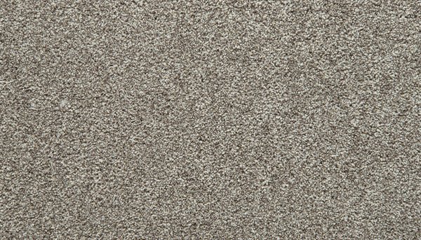Close-up view of Winter Cozy Companion Pet Friendly Carpet featuring a soft, textured surface. The plush fibers appear dense and evenly distributed, creating a comfortable and inviting appearance.