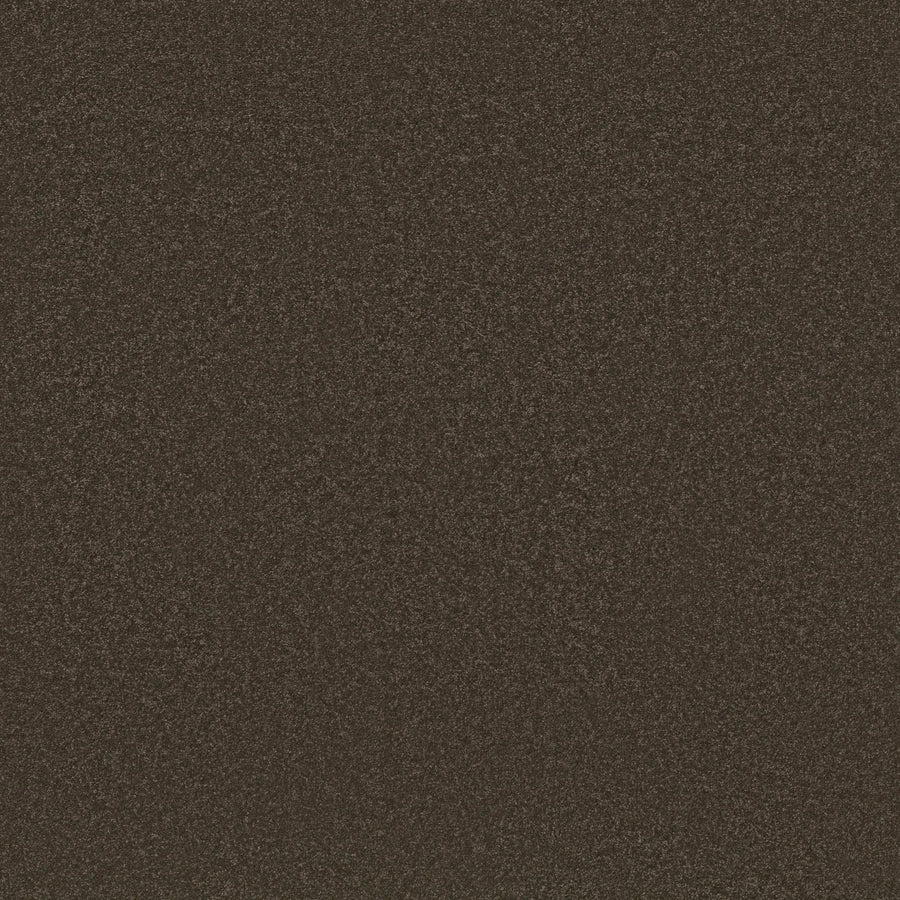 A close-up of Awaken Spirit Pet Friendly Carpet in Wood Grain color displays its dark brown, textured surface, highlighting durability with a rough and grainy appearance.
