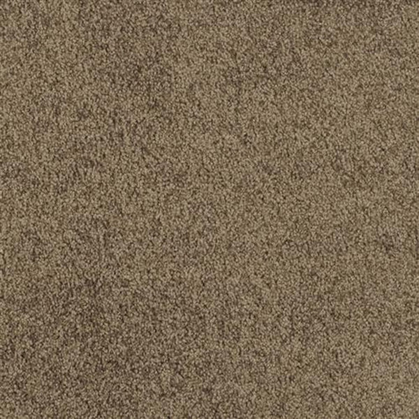 Close-up of Oceanside Family Friendly Carpet in Woodacres, featuring a textured, durable brown surface with a slightly mottled look, densely packed fibers, and a soft, plush feel.