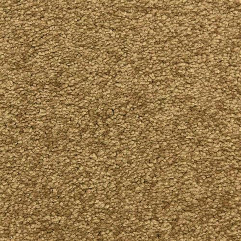 Close-up of the Morgan Bay Family Friendly Carpet in Woofruff, featuring a tightly woven, looped pile and textured beige surface—perfect for busy, family-friendly spaces.