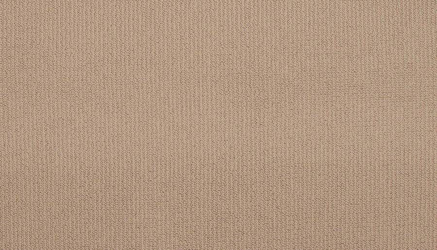 Close-up of Wool Fundamentals On Trend Carpet in Mocha, featuring a soft, uniform textured weave and subtle pattern that highlights the carpet’s quality finish and the durability typical of premium wool flooring.
