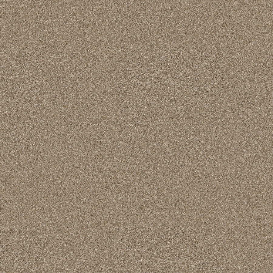 Close-up view of You Got This III Pet Friendly Carpet in Worn Path color, featuring fine, light brown fibers that create a uniform, textured pattern reminiscent of modern flooring.