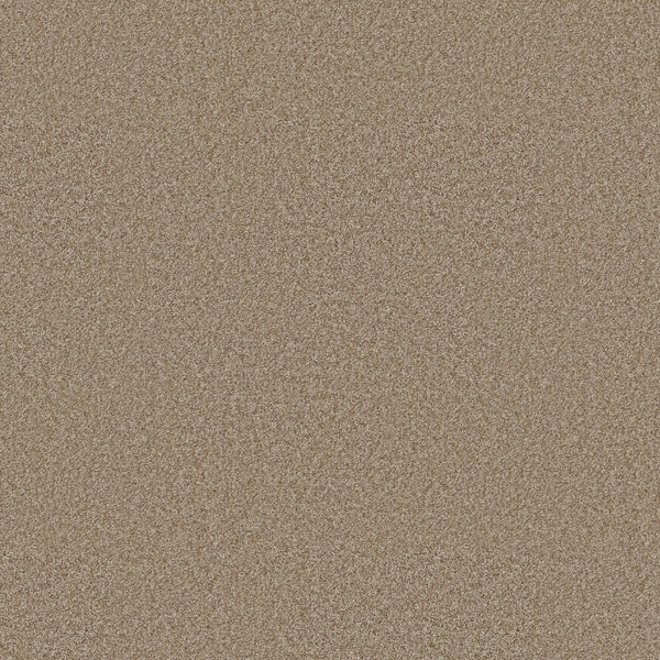 Close-up view of You Got This III Pet Friendly Carpet in Worn Path color, featuring fine, light brown fibers that create a uniform, textured pattern reminiscent of modern flooring.