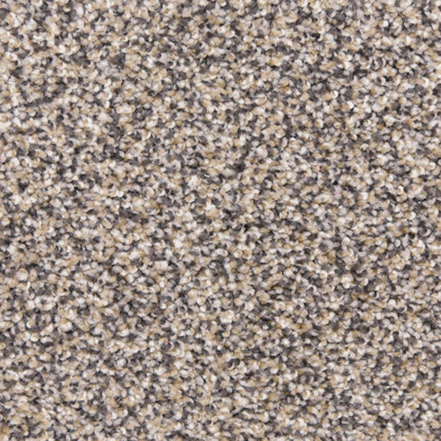 Close-up view of Maroon Bells Family Friendly Carpet in Yosemite color, featuring a soft, speckled pattern with textured beige, gray, and light brown fibers perfect for families.