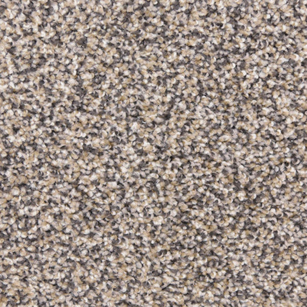 Close-up view of Maroon Bells Family Friendly Carpet in Yosemite color, featuring a soft, speckled pattern with textured beige, gray, and light brown fibers perfect for families.