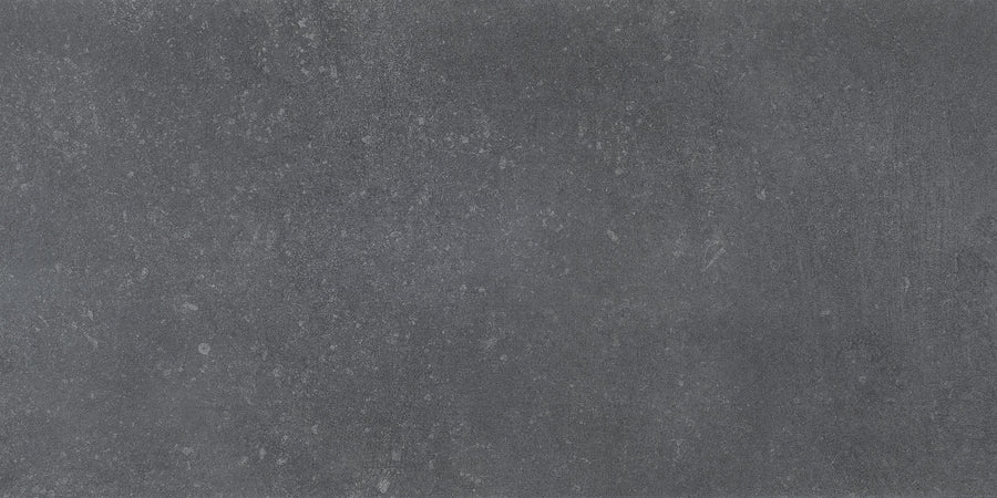 The Ardennes 12" x 24" Tile features a textured blue stone surface with subtle variations and light specks, making it ideal for an accent wall or statement floor and reminiscent of concrete or slate.