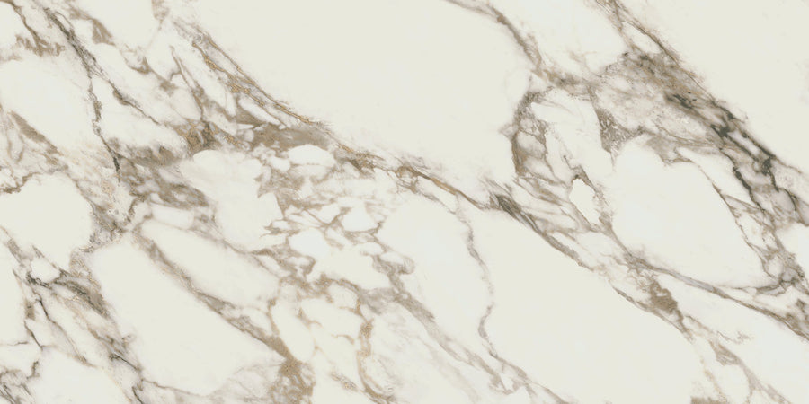 The Altissimo 24" x 48" Ceramic Tile in White Polished features irregular gray and gold veining for a natural, textured look—perfect for oversized tile installations or making a stunning statement floor in any space.