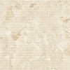 Torani
