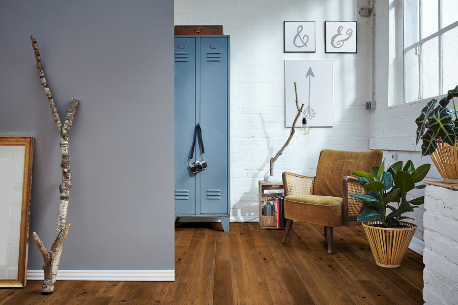 A cozy room with wood flooring, a yellow armchair, potted plants, a vintage blue locker, and framed wall art. A camera hangs from the locker. Sunlight shines through large windows, and birch branches lean against a gray wall.