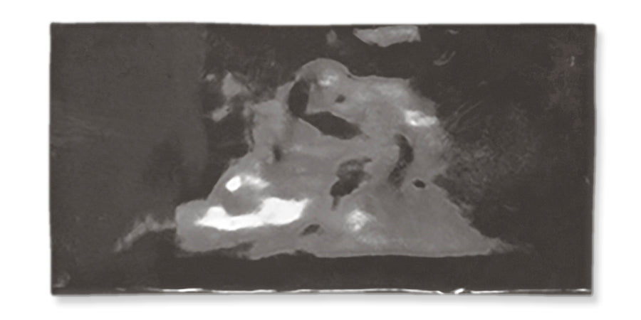 A blurry, abstract grayscale image with indistinct shapes and contrasting dark and light areas, creating a sense of mystery and ambiguity.