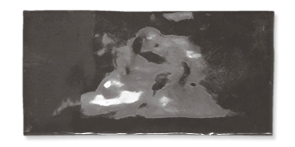 A blurry, abstract grayscale image with indistinct shapes and contrasting dark and light areas, creating a sense of mystery and ambiguity.