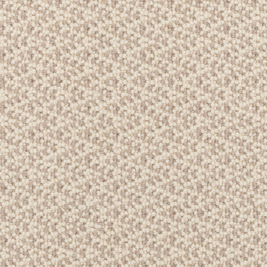 Close-up of Fretwork On Trend Carpet in Gray Velvet, featuring a small, tightly-woven pattern with durable construction, subtle variations in gray tones, and a uniform, pebbled surface.