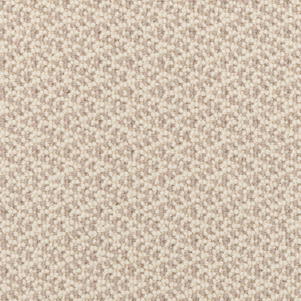 Close-up of Fretwork On Trend Carpet in Gray Velvet, featuring a small, tightly-woven pattern with durable construction, subtle variations in gray tones, and a uniform, pebbled surface.