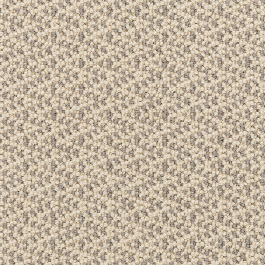 Close-up of Fretwork On Trend Carpet in Mountain Mist, featuring a durable, tightly woven small-loop pattern. The surface is soft and slightly raised, with a plush pile texture and a consistent, repeating design throughout.