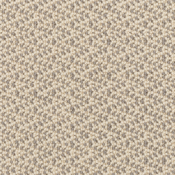 Close-up of Fretwork On Trend Carpet in Mountain Mist, featuring a durable, tightly woven small-loop pattern. The surface is soft and slightly raised, with a plush pile texture and a consistent, repeating design throughout.