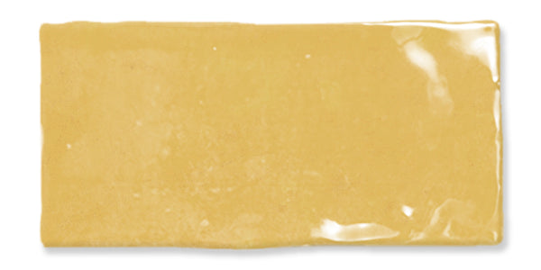 A single rectangular sheet of uncooked lasagna pasta with a slightly glossy, yellow surface, shown on a white background.