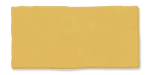 A single rectangular slice of yellow cheese, viewed from above, against a white background.