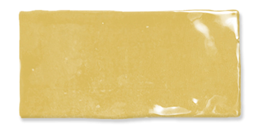 A single uncooked rectangular sheet of lasagna pasta with a slightly shiny surface, lying flat on a white background.