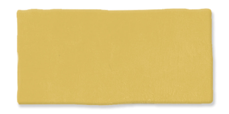 A rectangular slice of yellow cheese, smooth in texture, photographed against a white background.