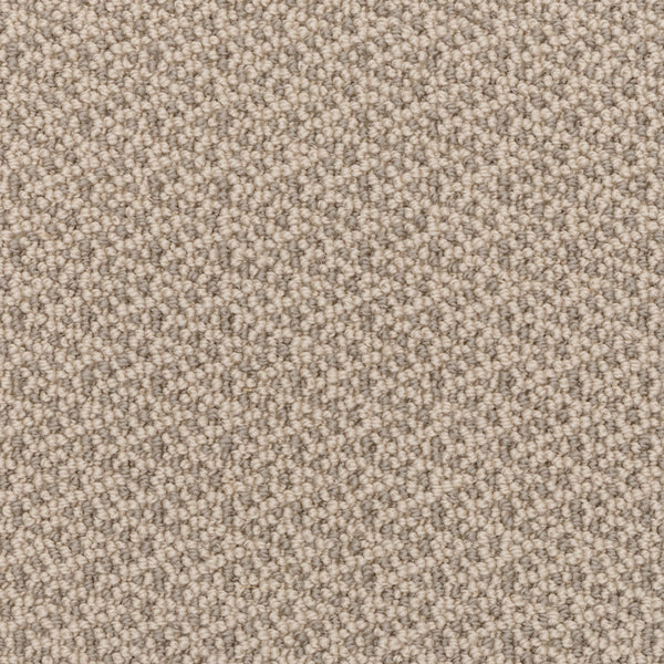 Close-up view of the Fretwork On Trend Carpet in New Coin, featuring a beige, tightly woven textured surface with durable construction. The small, even loops create a uniform pattern, offering a soft and neutral background appearance.