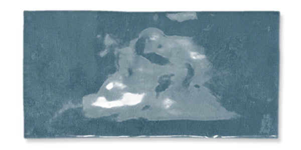 A grainy, blue-tinted abstract image resembling a cloudy sky or a vaguely defined animal shape on a rectangular surface.
