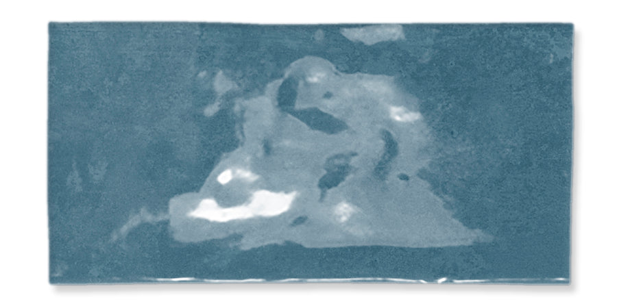 A blue-toned, abstract image with light and dark patches creating the vague outline of a figure possibly resembling a person or animal against a textured background.