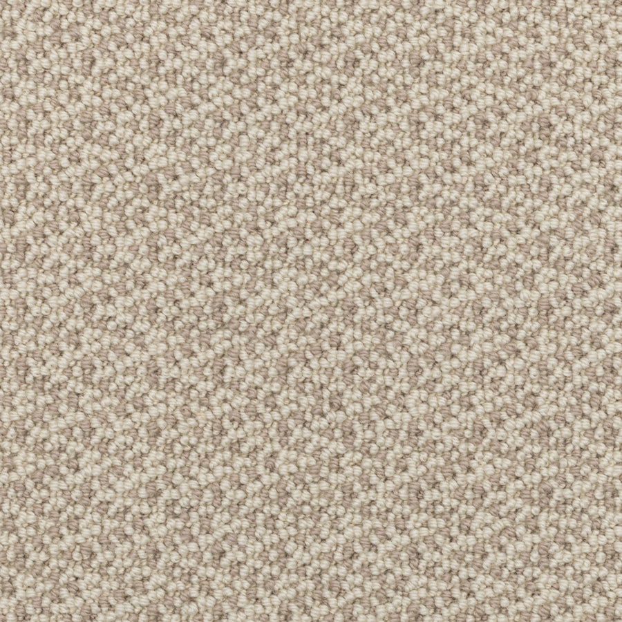 Close-up view of the Fretwork On Trend Carpet in Shifting Sand, featuring a beige, textured surface with a looped pile pattern and durable construction, showcasing small, tightly woven loops in various shades of cream and taupe.
