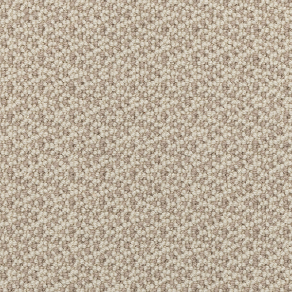 Close-up view of the Fretwork On Trend Carpet in Shifting Sand, featuring a beige, textured surface with a looped pile pattern and durable construction, showcasing small, tightly woven loops in various shades of cream and taupe.