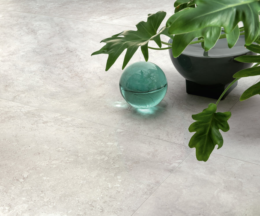 A green potted plant and a translucent blue glass sphere rest on a light gray stone tile floor. The plant’s large leaves cast soft shadows on the smooth surface.