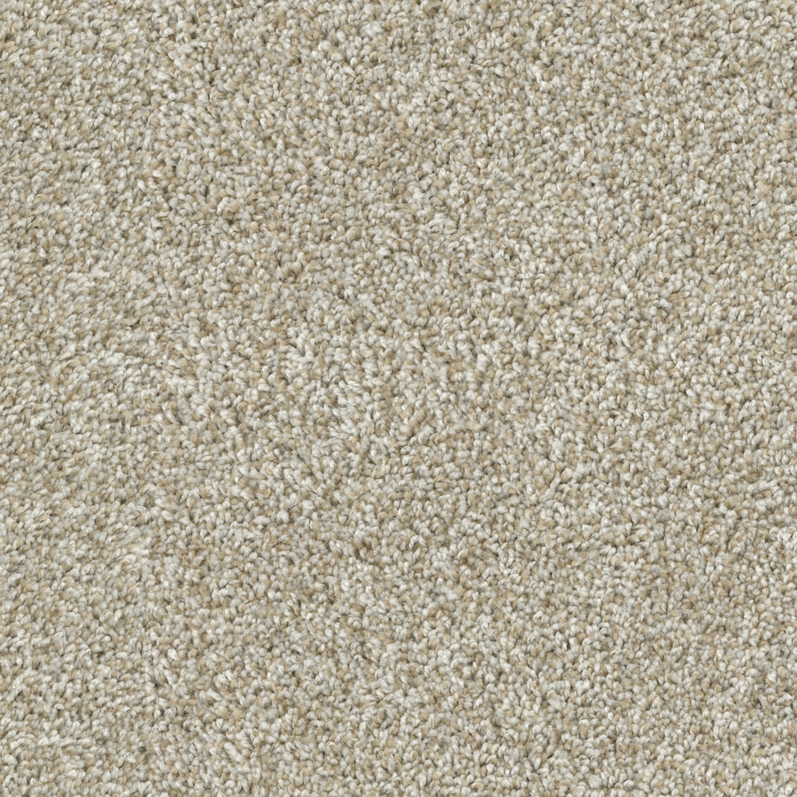 Close-up of Sunlit Hues Pet Friendly Carpet in beige, featuring a soft, dense pile with a subtle speckled look. Its even fibers provide a plush, cozy feel—perfect for high-end spaces seeking luxury flooring that's safe for pets.