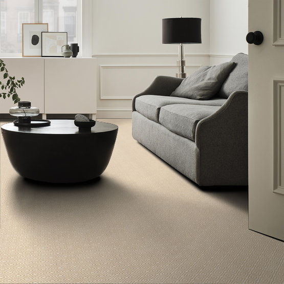 A modern living room with a grey sofa, black coffee table, white sideboard, table lamp, and decorative items, illuminated by natural light from a large window. The floor is carpeted in a light beige pattern.