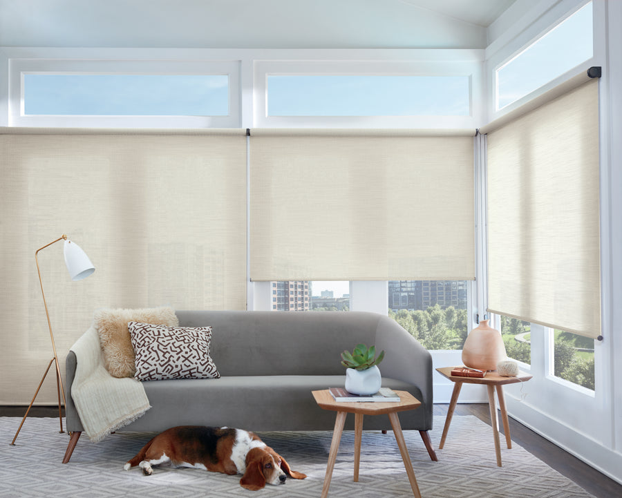 A cozy living room with a gray couch, decorative pillows, and a floor lamp. A dog lies on a rug beside the couch. Large windows fitted with Designer Roller Shades reveal views of surrounding buildings and trees.