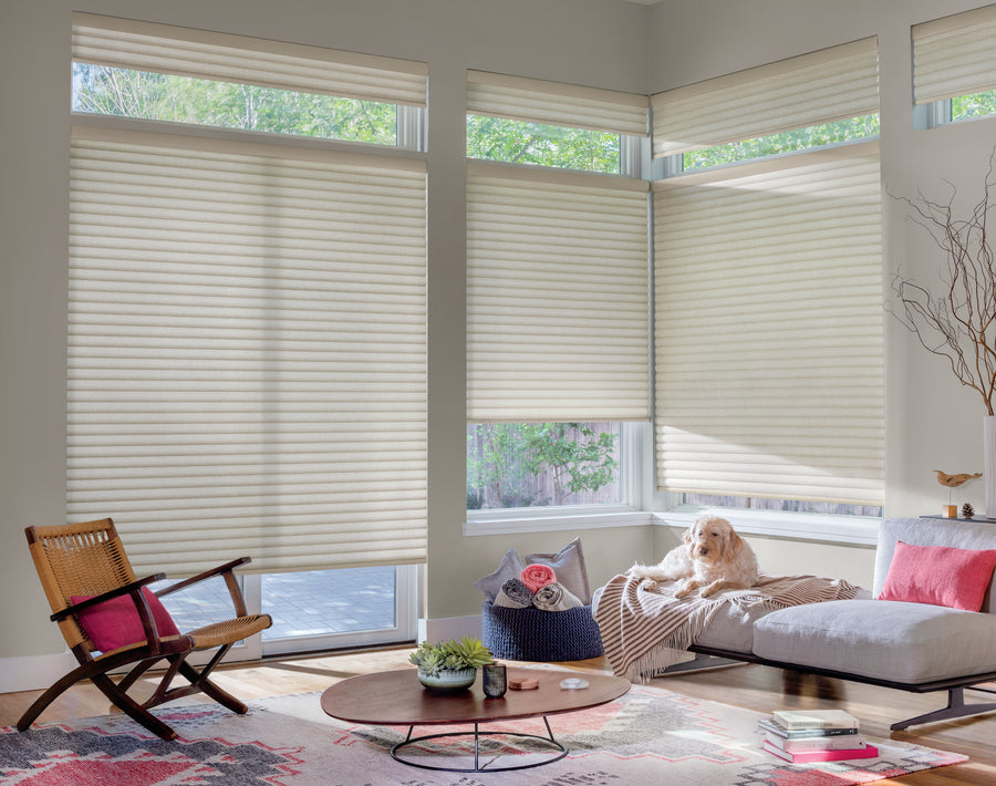Bright living room with large windows fitted with Sonnette™ Cellular Roller Shades, a round wooden coffee table, an armchair, a modern sofa with colorful cushions, and a dog relaxing on a blanket by the window.