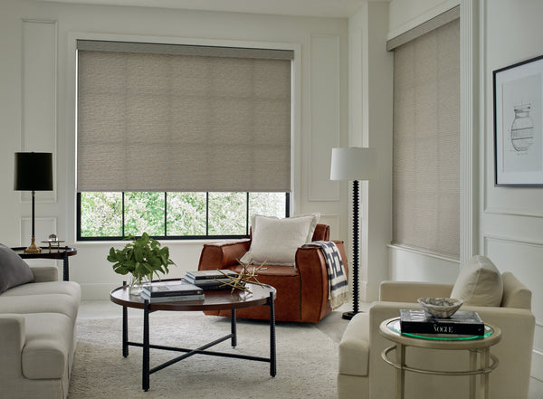 Designer Roller Shades